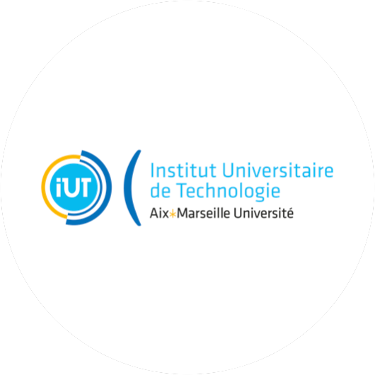 iut-licence-profesionnelle-charge-de-projet-digital